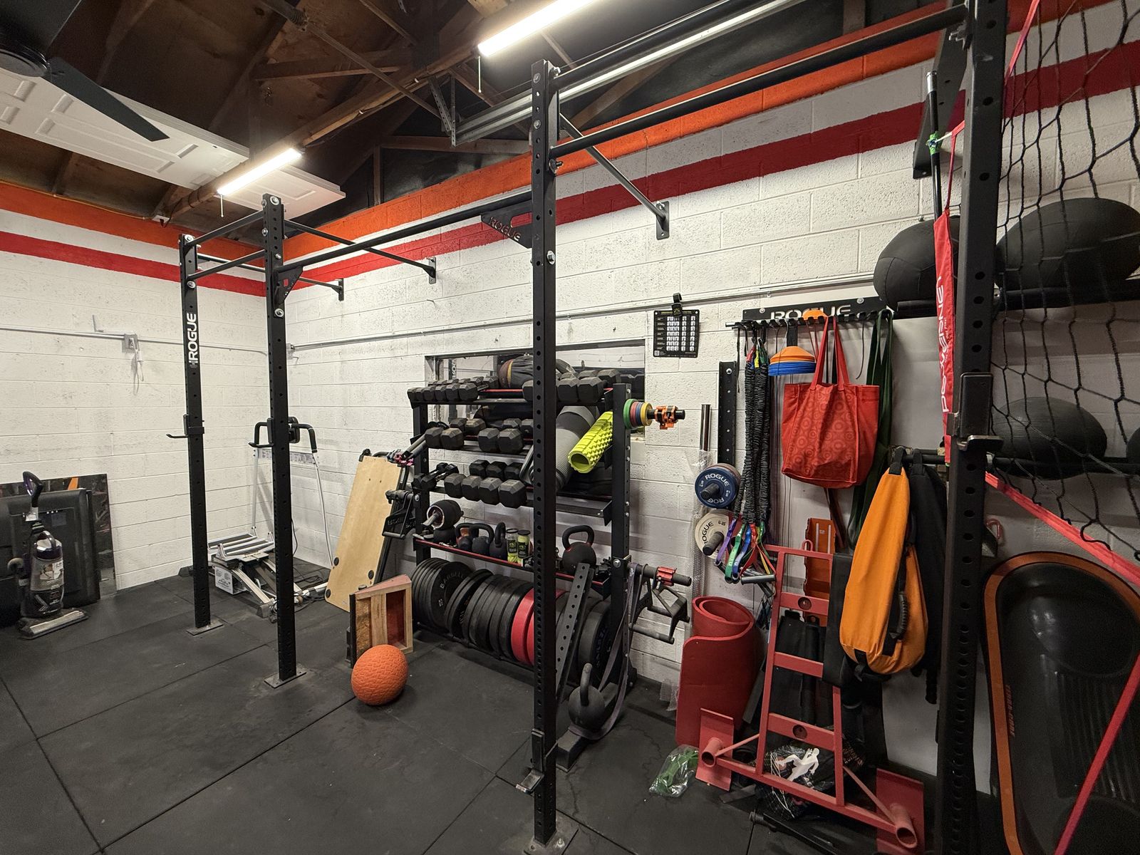 Rogue Infinity Wall Mount Rig