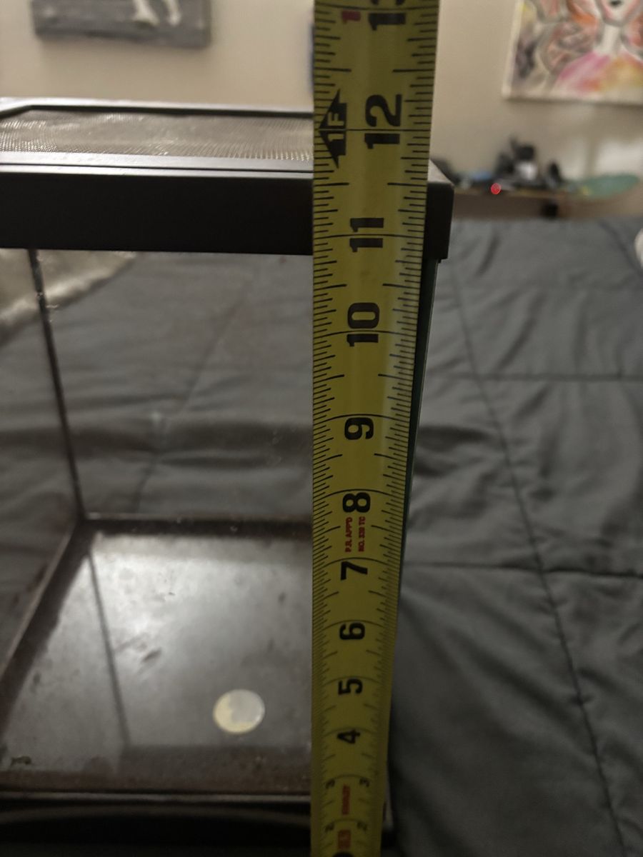 Main image 7
