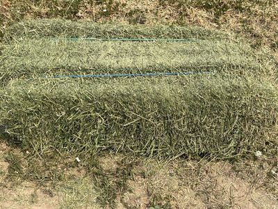 Alfalfa small bales