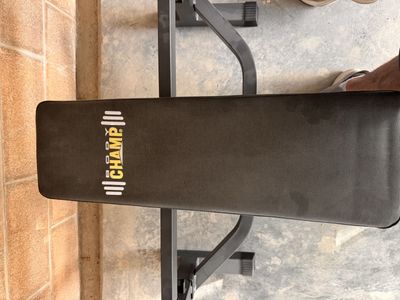 Body Champ Olympic Weight Bench with Preacher Curl and Leg Developer