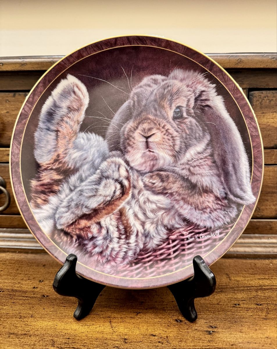 Adorable Footloose Bunny Collector Plate