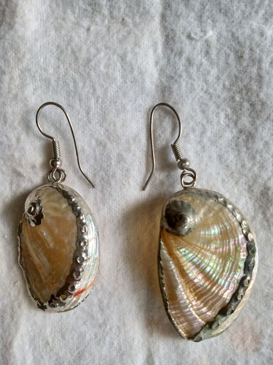 Vintage Native American natural abalone seashell earrings lined with sterling silver French hooks