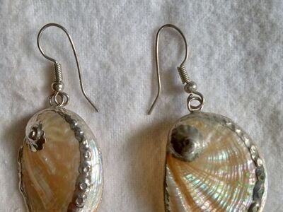 Vintage Native American natural abalone seashell earrings lined with sterling silver French hooks