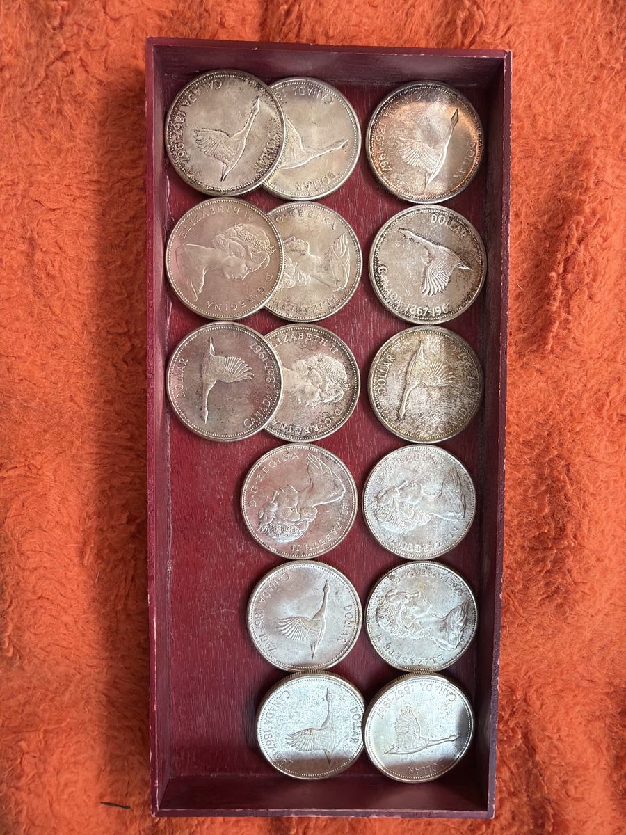 1$ Canadian constitutional silver geese