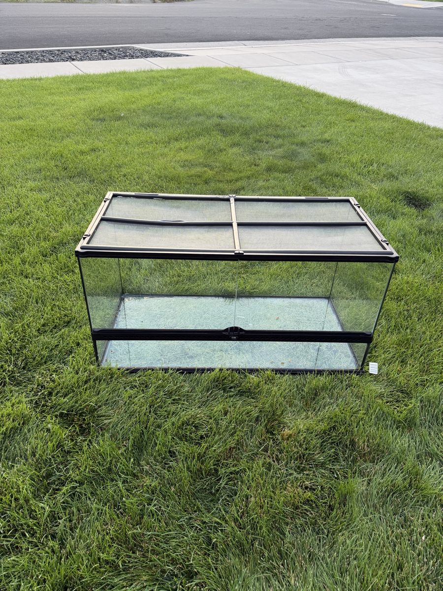 Main image 4