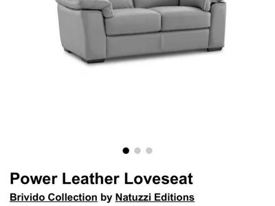 Leather Loveseat Couch