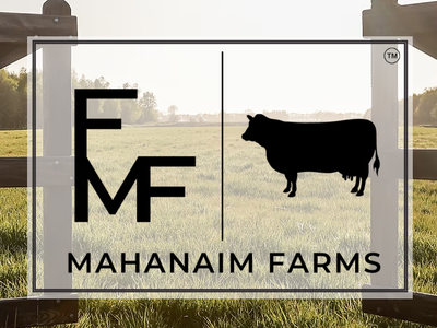 Local. Grass Fed. Beef.