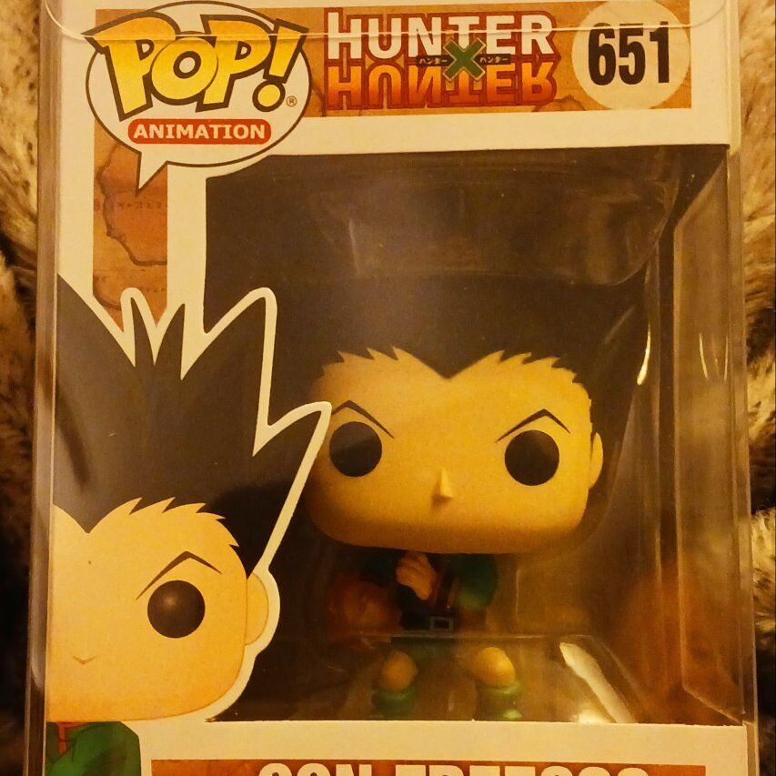 Hunter Hunter anima/ Gon Freecss Funko Pop!