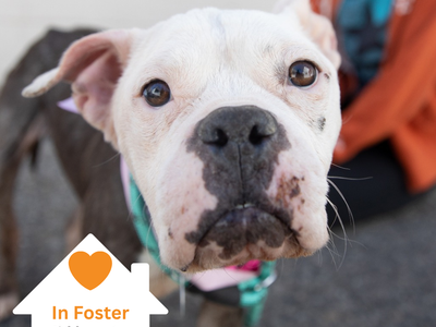 Hello my name is Dahlia