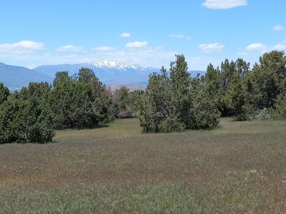 Main image 12