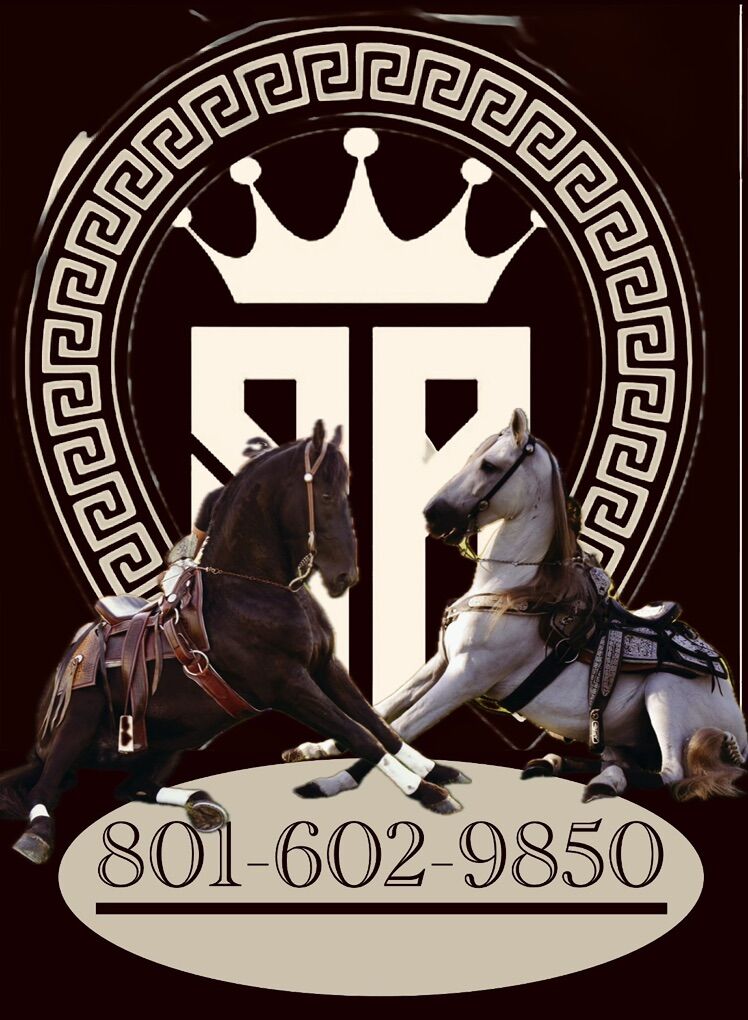 Horse bits And Saddles New