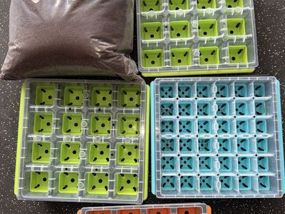 Gardening Burpee Seed Starting Kit - Pop Out Reusable- + Burpee Coconut Coir Seed Starter Soil