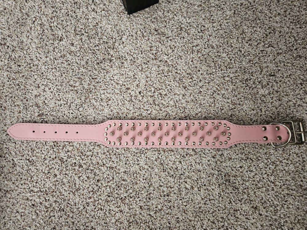 Pink Dog Collar