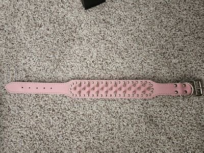 Pink Dog Collar