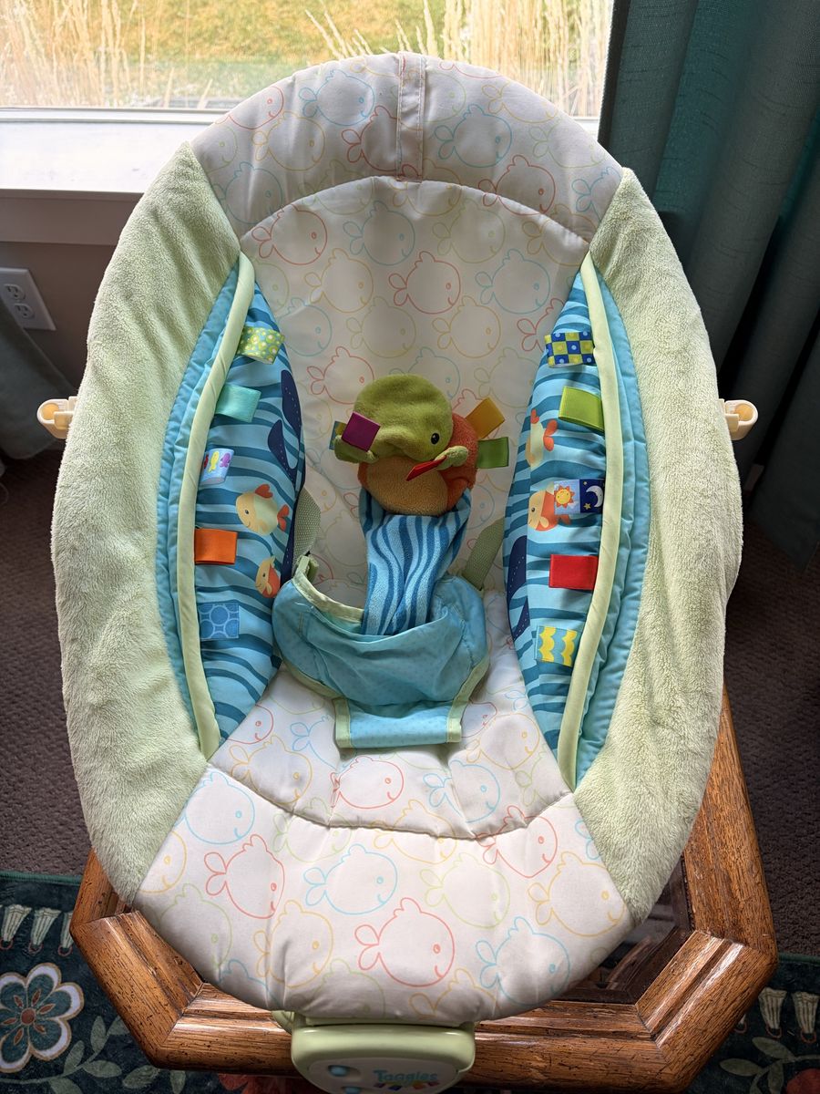 Free Gently Loved Baby Seat
