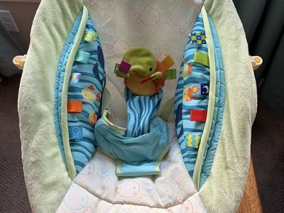 Free Gently Loved Baby Seat