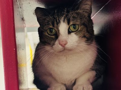 Hello my name is Estelle