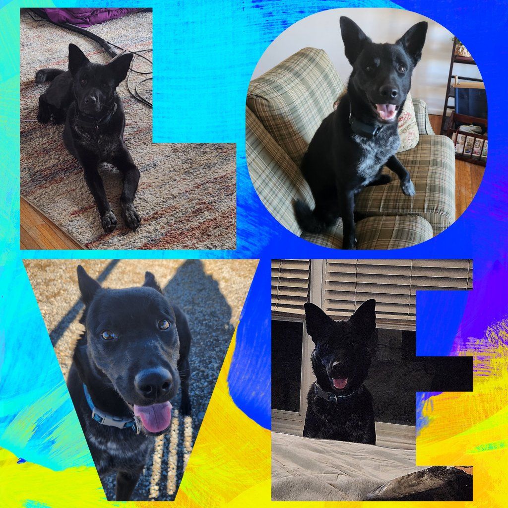 I can’t be his forever,  I can give him a future