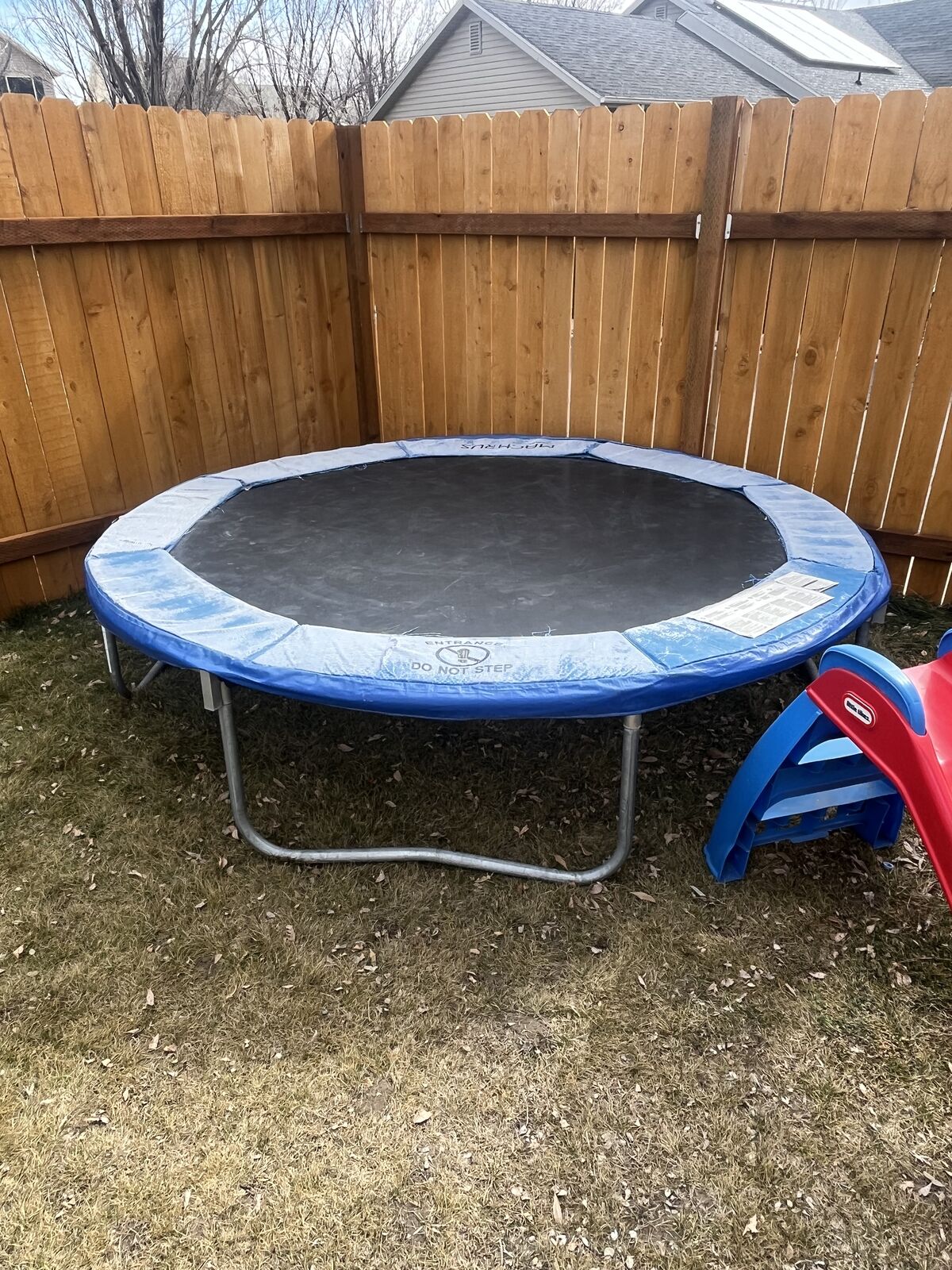Trampoline Need Gone ASAP