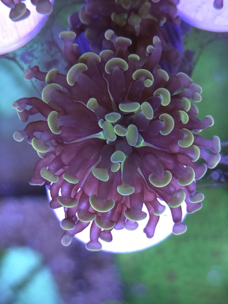 Main image 5