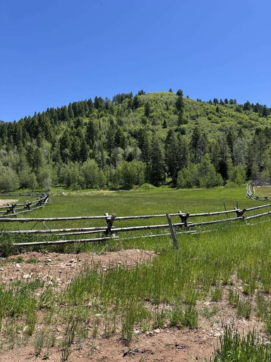 Main image 6