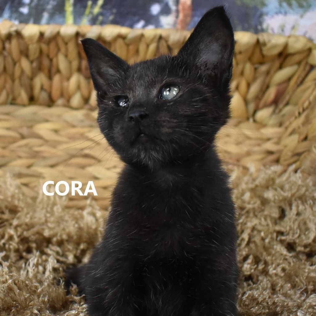 Hello my name is Cora