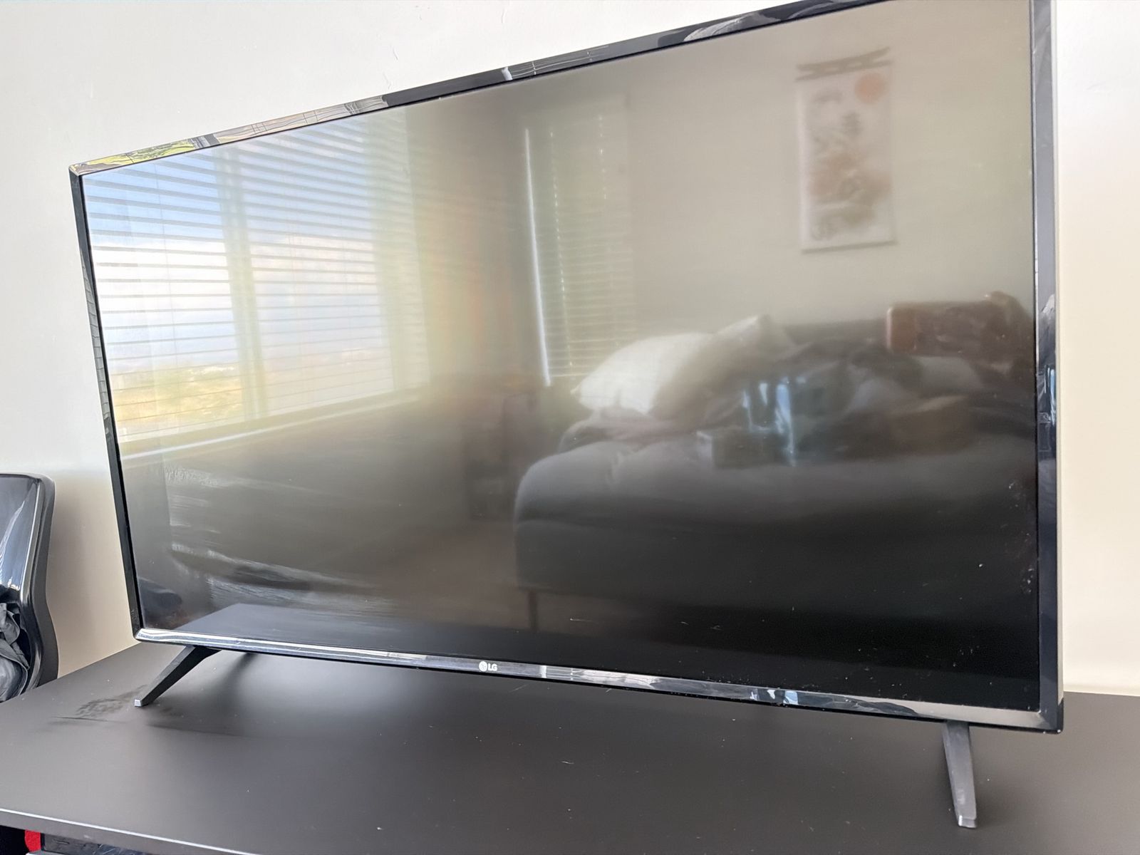 LG TV (43 inch)