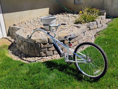 Tag along bike, by Trek