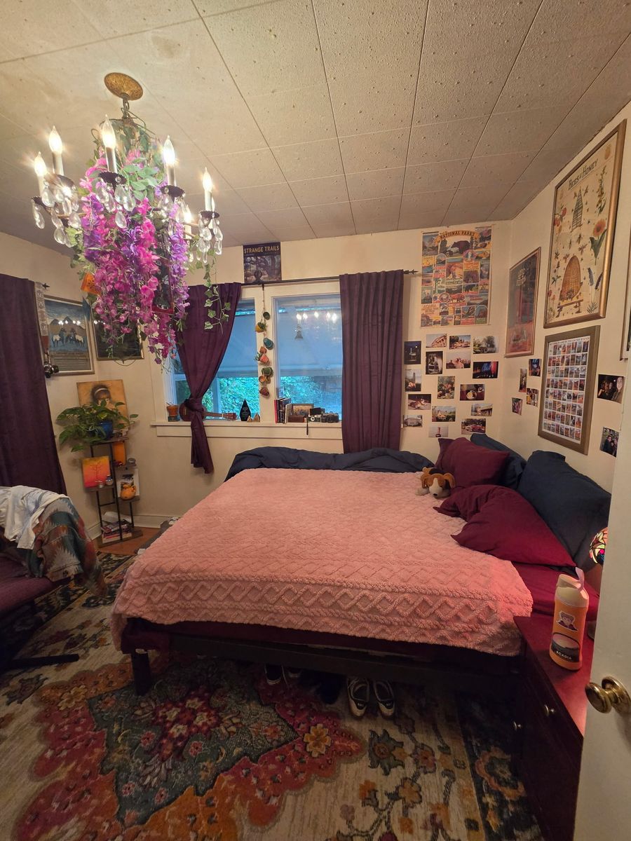 Main image 5