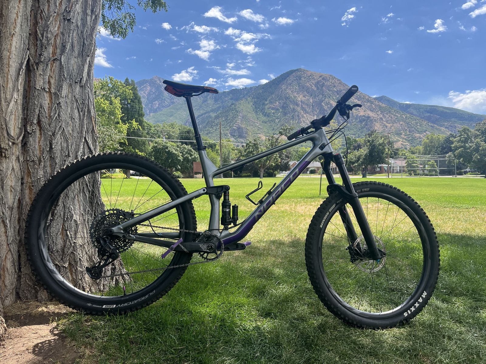 XL Norco Optic Carbon Custom Build