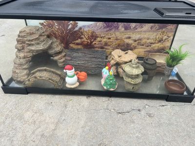 20 gallon tank + accessories