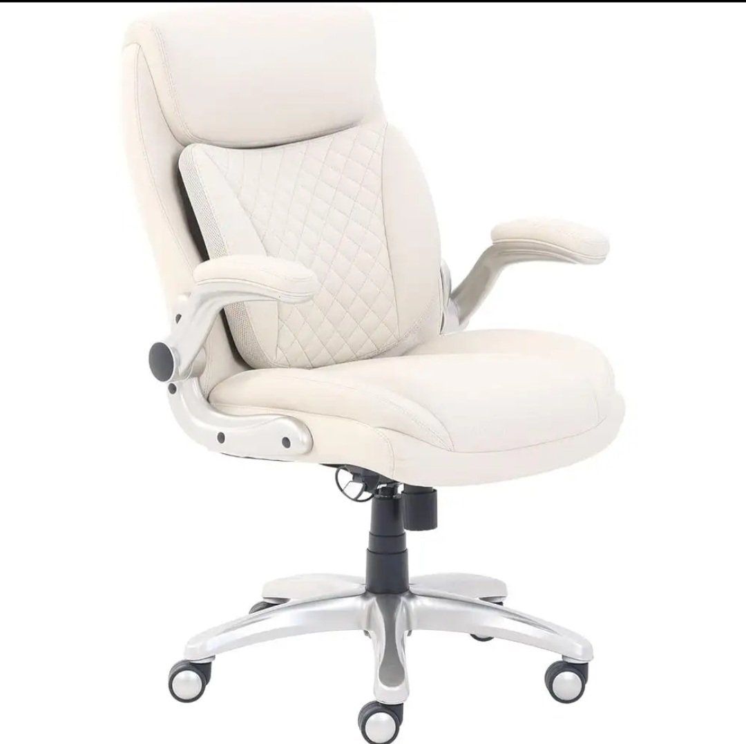 Ergonomic Executive Office Desk Chair with Lumbar