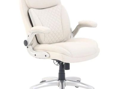Ergonomic Executive Office Desk Chair with Lumbar