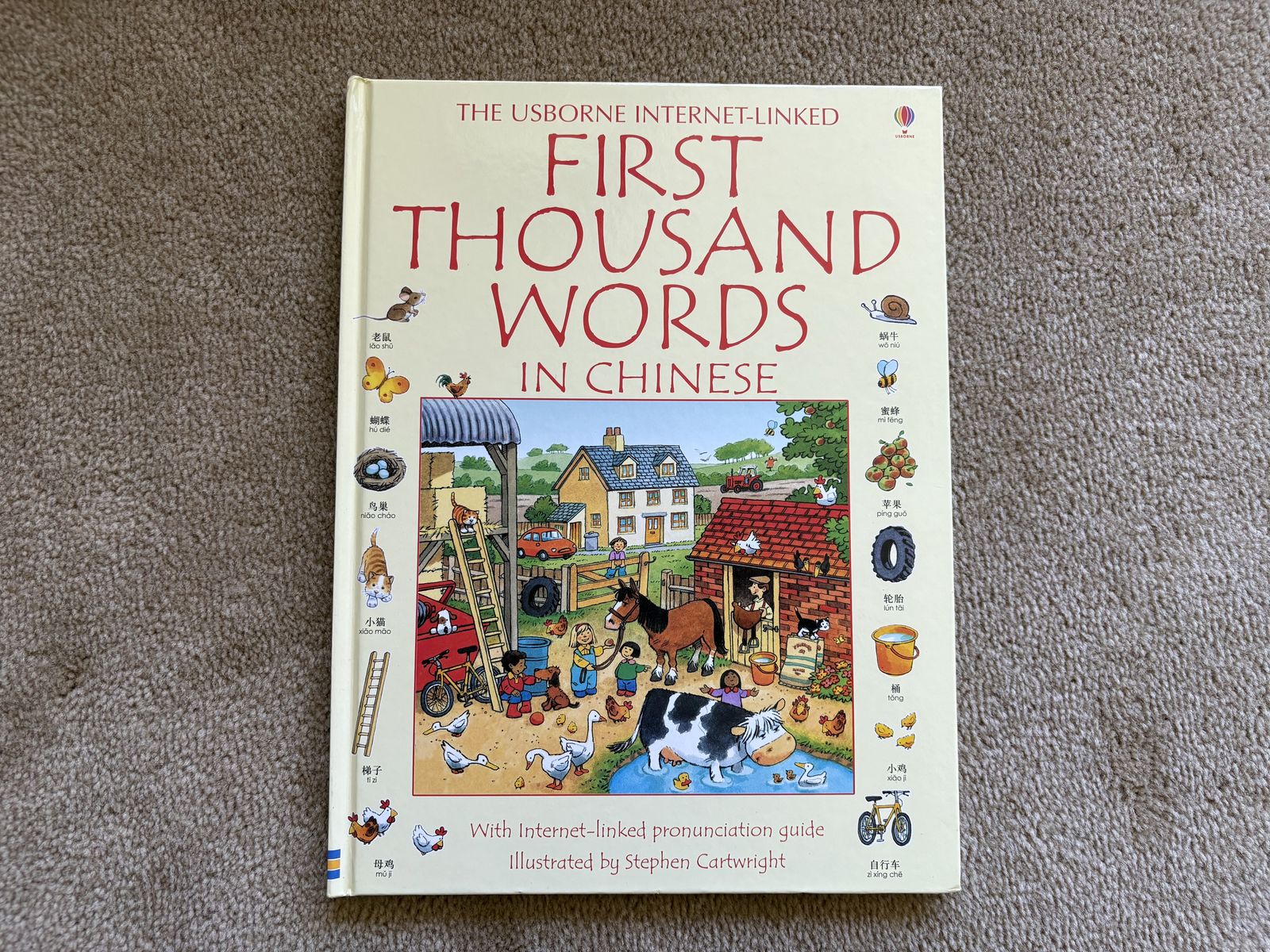 Usborne First Thousand Words in Chinese