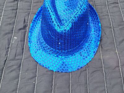 Blue Sequin Hat