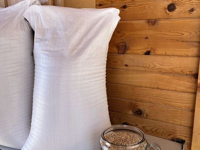 Hard White Wheat