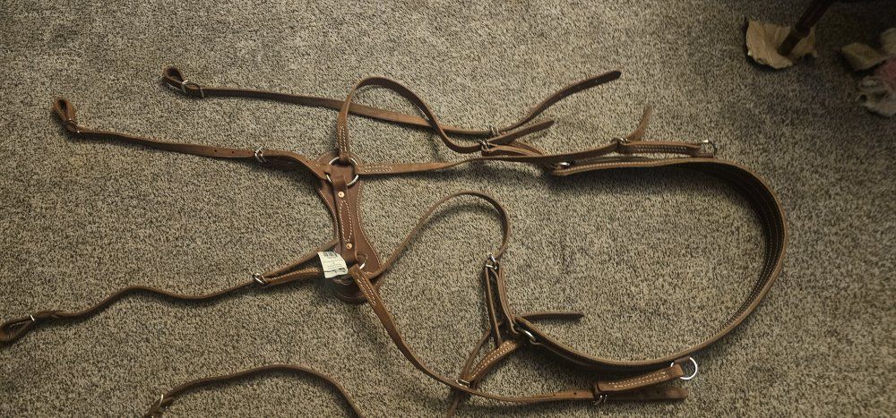 Brand New Breechan dual leather