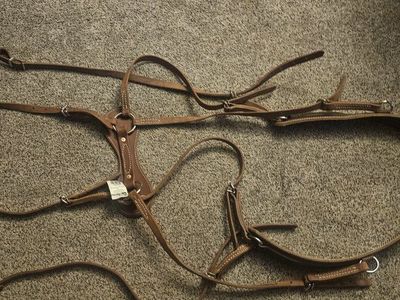 Brand New Breechan dual leather