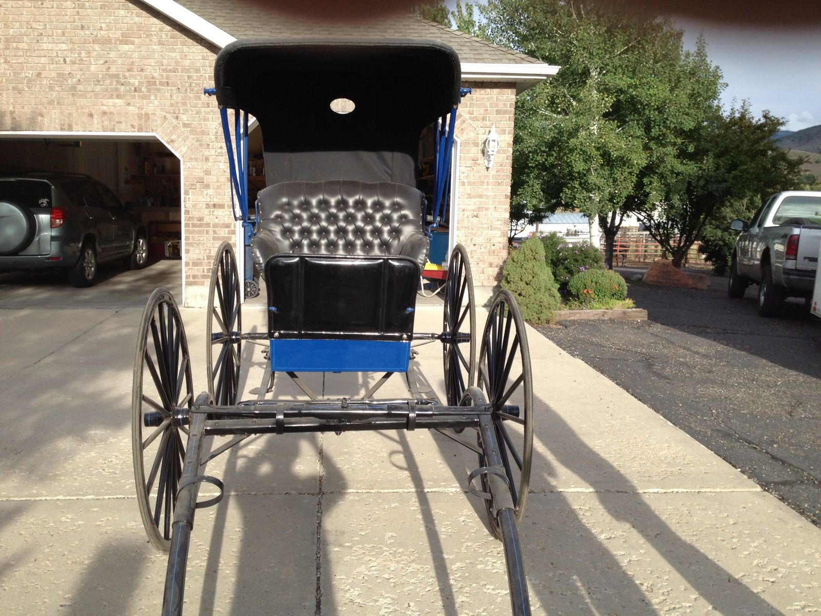 Doctors buggy!