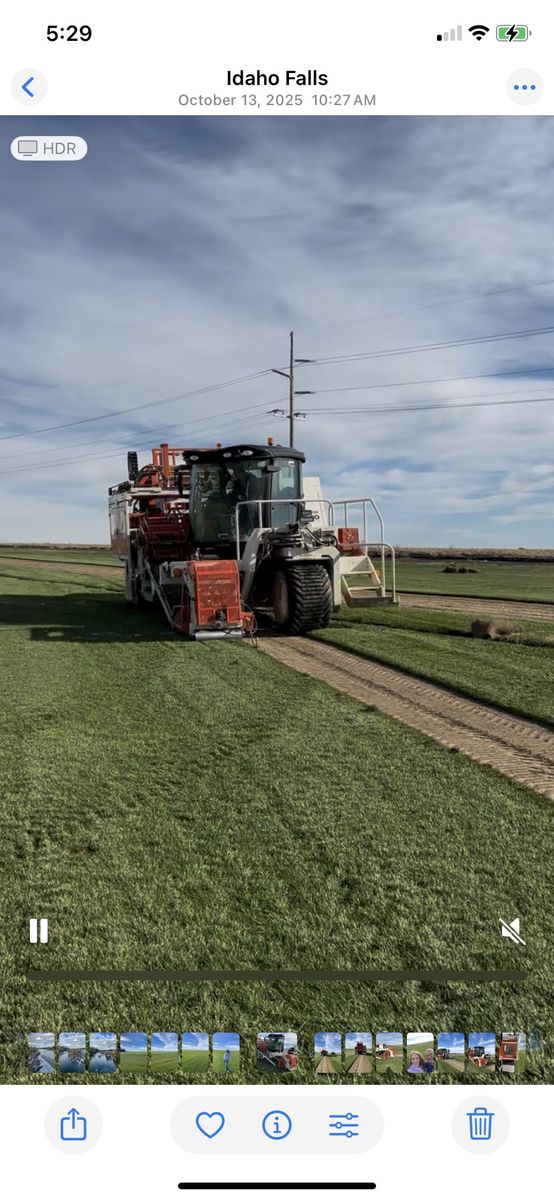 Quality Sod for sale