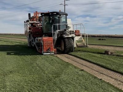 Quality Sod for sale