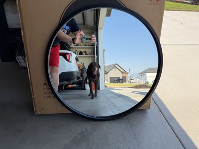 Americanflat 32" Round Wall Mirror with Black Frame