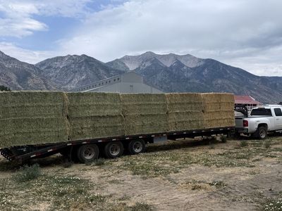 3x4x8 2nd Crop Hay