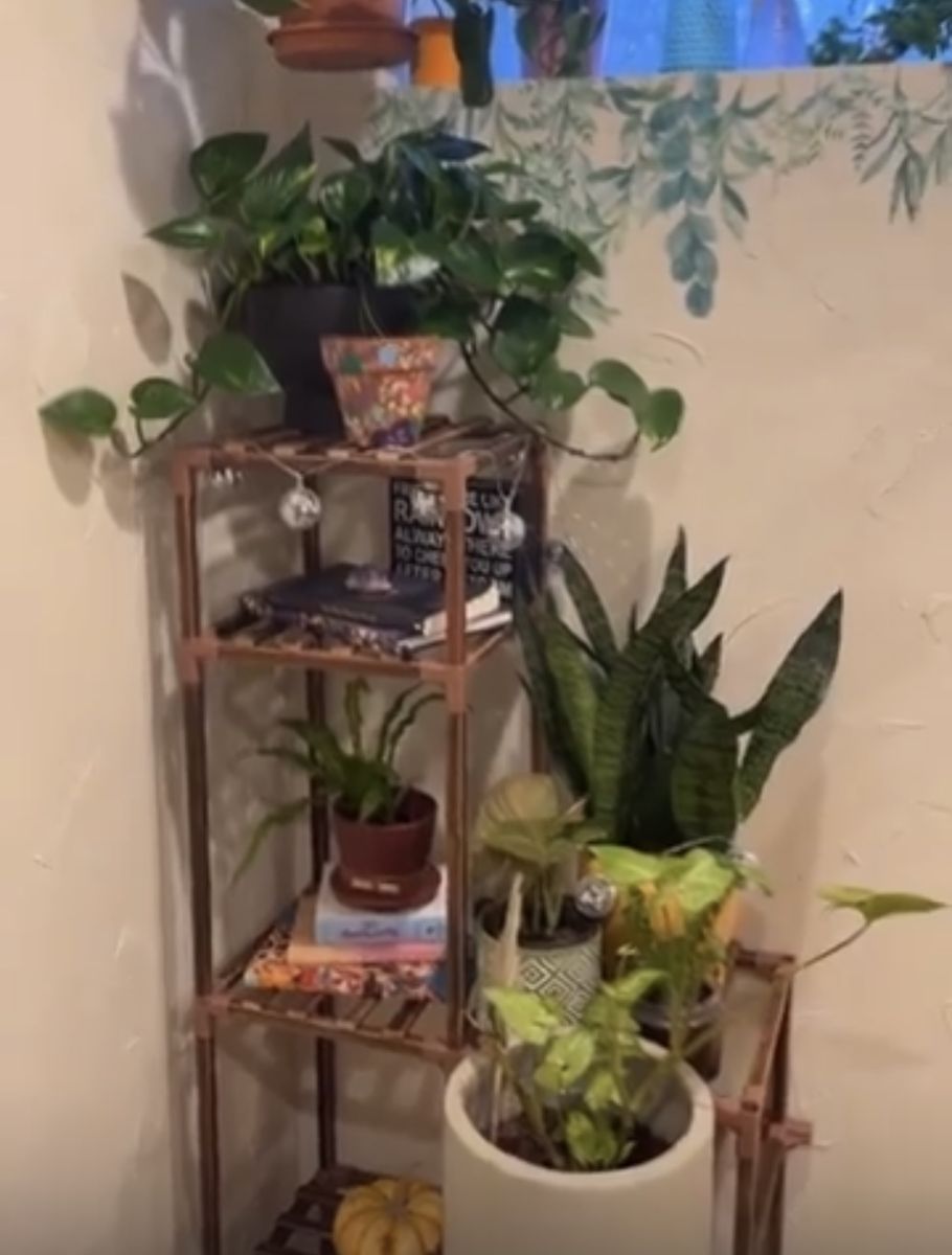 Plant shelf