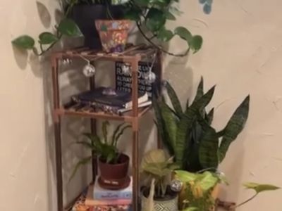 Plant shelf