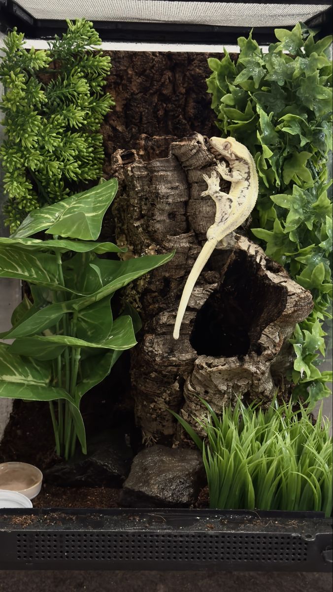 Main image 2