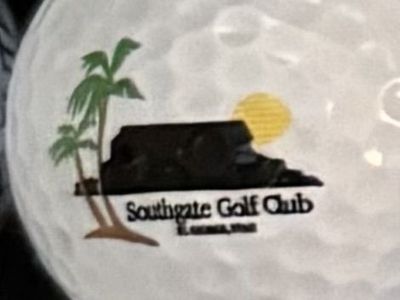 In Search Of This Logo Golf Ball