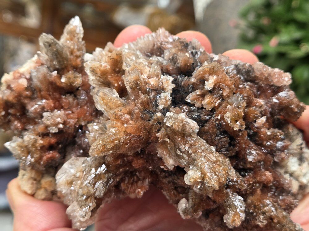 Open House - Rocks, Gems and Minerals