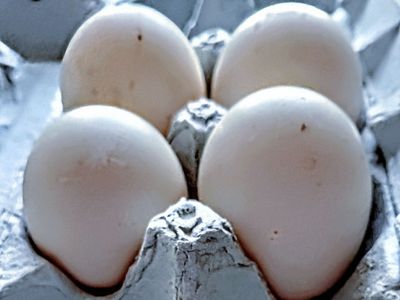 Duck Eggs