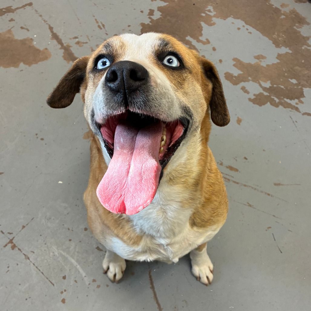 Hello my name is Supernova